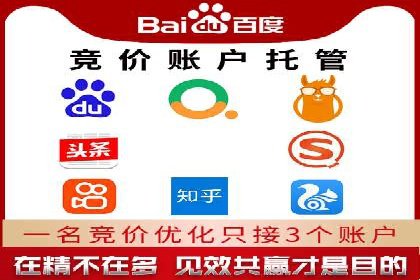某电商平台的SEM竞价专员成功案例分享